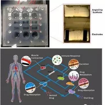 1466132624660150.jpg QQ截圖20160617110319.jpg