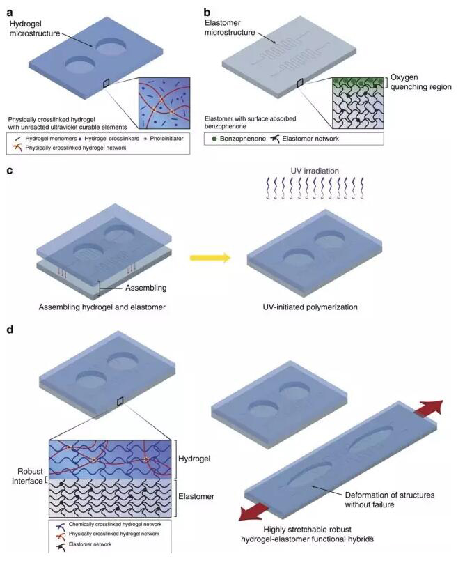 1467593501133290.jpg QQ截圖20160704084702.jpg