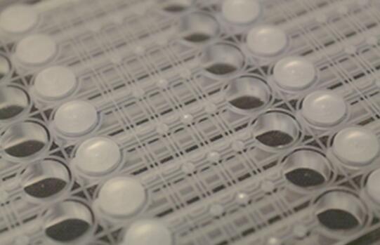 CN Bio公司的肝芯片