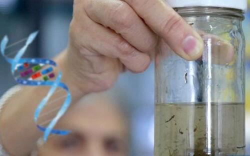 1473216974589922.jpg QQ截圖20160907105542.jpg