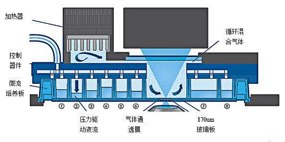 1479792024786448.jpg 芯片實驗室