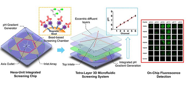 1481703643316283.jpg wlks.jpg