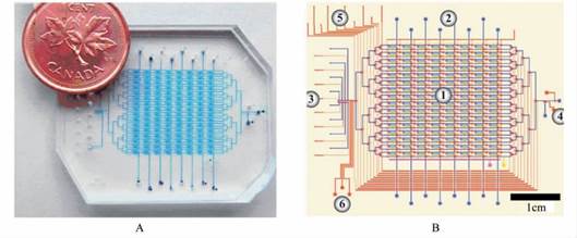 1481768051764502.jpg 微流控芯片|微流控芯片批量加工