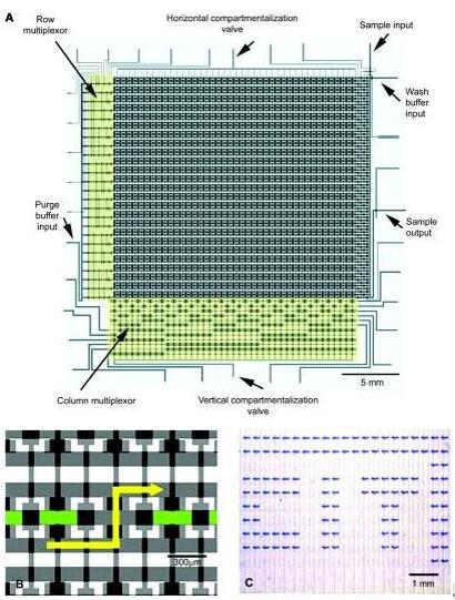 1482302232412976.jpg 1482302232412976.jpg