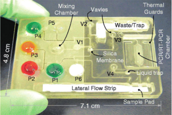 1489468626305310.jpg 微流控芯片