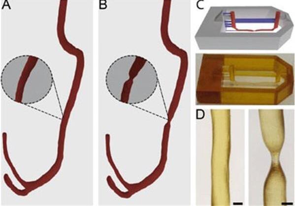 微流控管模仿血管通道 微流控管模仿血管通道