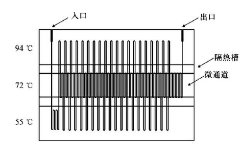 微流控芯片的應用領域 微流控芯片的應用領域