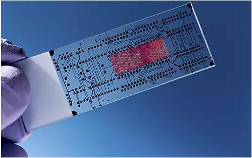 微流控技術(shù)在生物醫(yī)學領(lǐng)域的應用 微流控技術(shù)在生物醫(yī)學領(lǐng)域的應用