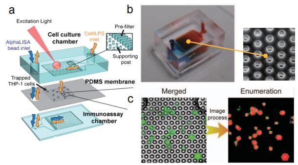 多孔洞結(jié)微過濾薄膜之微流控芯片 (a) 流流控芯片示意圖 (b) 實(shí)際微流控芯片照片及使用電子掃描顯微鏡（SEM）所拍攝之微過濾薄膜孔徑圖 (c) 使用分析軟體進(jìn)行細(xì)胞計(jì)數(shù)示意圖