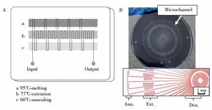 圖2  蛇形通道型 PCR芯片:(A) 平行通道 PCR芯片，(B) 輻射通道 PCR芯片