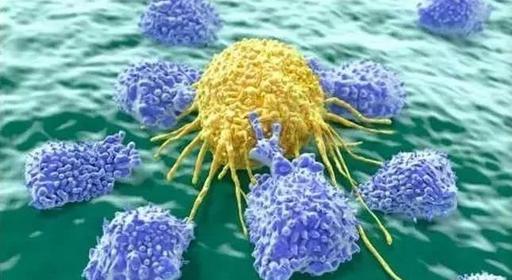 微流控芯片在循環(huán)腫瘤細胞中的應用 微流控芯片在循環(huán)腫瘤細胞中的應用