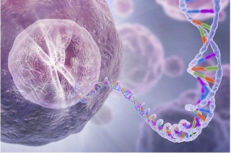 單細(xì)胞測(cè)序 單細(xì)胞測(cè)序