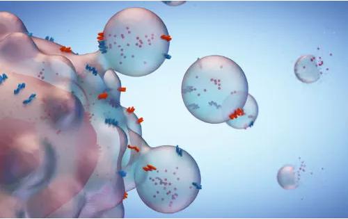 基于外泌體與蛋白質(zhì)組學的液體活檢技術，新產(chǎn)品助力癌癥診斷