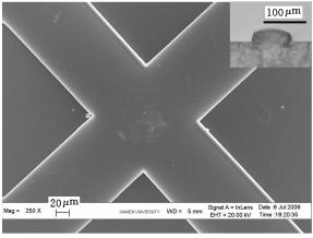 圖4 PMMA模具的SEM 照片與截面的顯微照片 圖4 PMMA模具的SEM 照片與截面的顯微照片