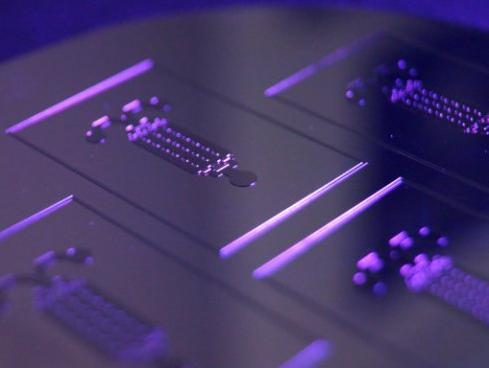 PDMS芯片模具 PDMS芯片模具