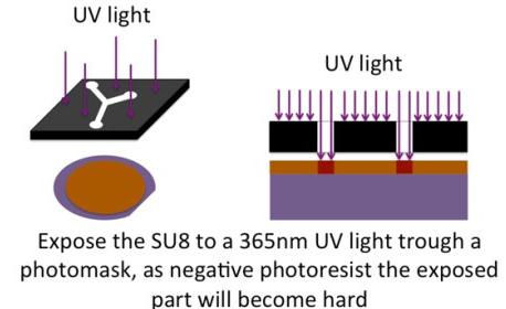 曝光的目的是通過(guò)激活光刻膠中的部分PAC(PhotoActiv Component)來(lái)引發(fā)交聯(lián)反應(yīng) 曝光的目的是通過(guò)激活光刻膠中的部分PAC(PhotoActiv Component)來(lái)引發(fā)交聯(lián)反應(yīng)