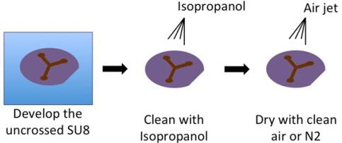 負(fù)性環(huán)氧樹(shù)脂SU-8光刻膠的顯影 負(fù)性環(huán)氧樹(shù)脂SU-8光刻膠的顯影