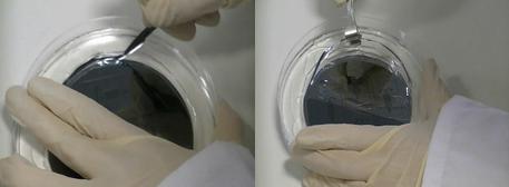 PDMS剝離模具 PDMS剝離模具