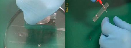 PDMS復(fù)制和打孔 PDMS復(fù)制和打孔