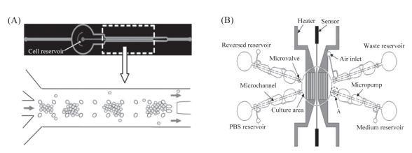 微流控芯片來(lái)培養(yǎng)細(xì)胞