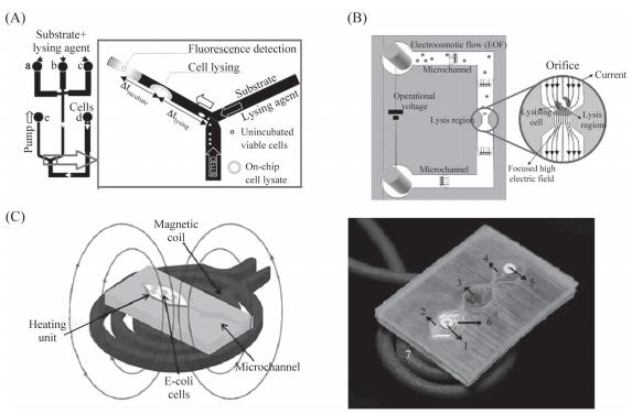 圖3細胞裂解裝置示意圖 圖3細胞裂解裝置示意圖