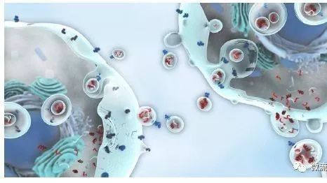 眾望所歸，液體活檢技術(shù)將迎來全新發(fā)展時代