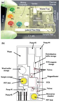 聚碳酸酯微流體盒，其中袋填充染料更好的可視化，他們被設(shè)計來存儲各種試劑和緩沖區(qū)
