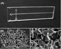 典型的纖維電泳微芯片的照片和玻璃纖維包裝的微通道的橫截面的SEM圖像。