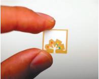 紙 基微流控芯片