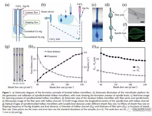 微流控免油紡絲法制備具有不同結(jié)點(diǎn)和可灌注通道的仿項鏈微纖維 微流控免油紡絲法制備具有不同結(jié)點(diǎn)和可灌注通道的仿項鏈微纖維