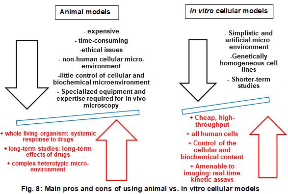 大多數(shù)優(yōu)點(diǎn)和缺點(diǎn)適用于整個(gè)體外模型，即2D和3D蜂窩系統(tǒng)