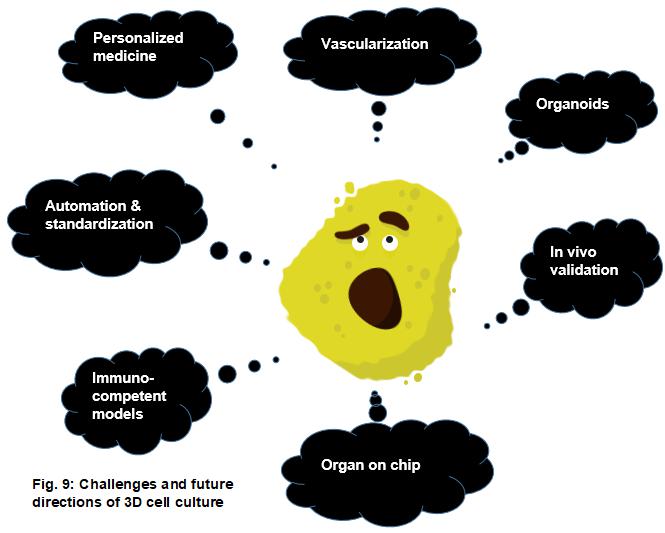 顯微鏡下3D細(xì)胞培養(yǎng)的未來