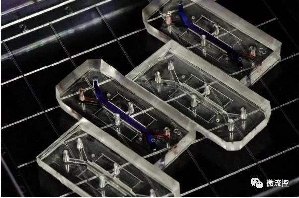 膠原蛋白膜有助提升器官芯片準確度 膠原蛋白膜有助提升器官芯片準確度