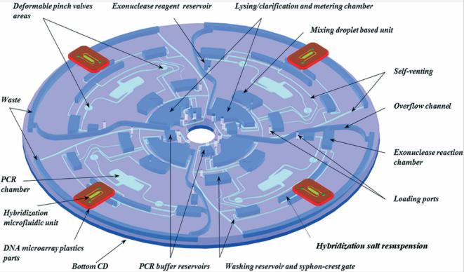 圖2：Lab-on-Disc設(shè)備的顯示，顯示了四個(gè)平行測(cè)試以及各個(gè)組件，指示裂解，PCR擴(kuò)增，外切核酸酶反應(yīng)，微陣列雜交等功能。