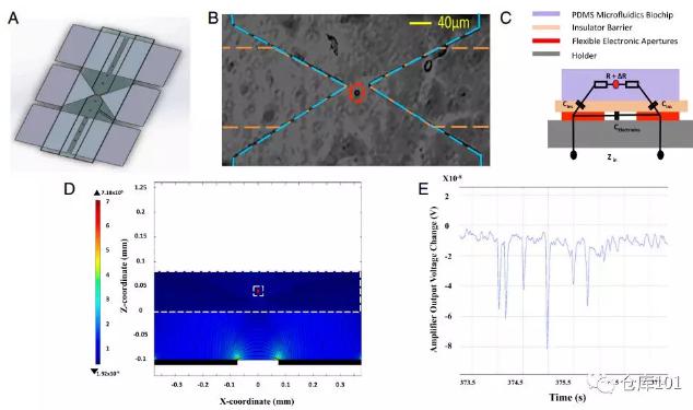 圖6. 實時單細胞計數(shù) A)微流控芯片示意圖；B)單個細胞通過電極顯微照相圖；C)等效電路圖；D)單個細胞通過的電勢計算圖；E)6個PMS微球通過的實驗測量電勢圖