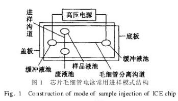 芯片毛細管電泳常用進樣模式結(jié)構(gòu)