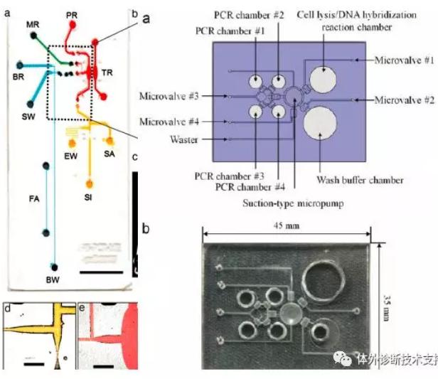 POCT 核酸芯片 POCT 核酸芯片