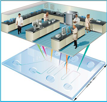 傳統(tǒng)實(shí)驗(yàn)室轉(zhuǎn)換為微流控芯片實(shí)驗(yàn)室 示意圖 傳統(tǒng)實(shí)驗(yàn)室轉(zhuǎn)換為微流控芯片實(shí)驗(yàn)室 示意圖