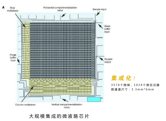微流控芯片實(shí)驗(yàn)室技術(shù)優(yōu)勢(shì)：大規(guī)模集成的微液路芯片