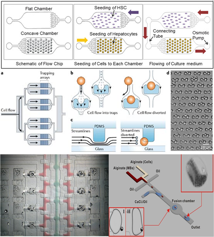 生物芯片 - 細(xì)胞分析芯片