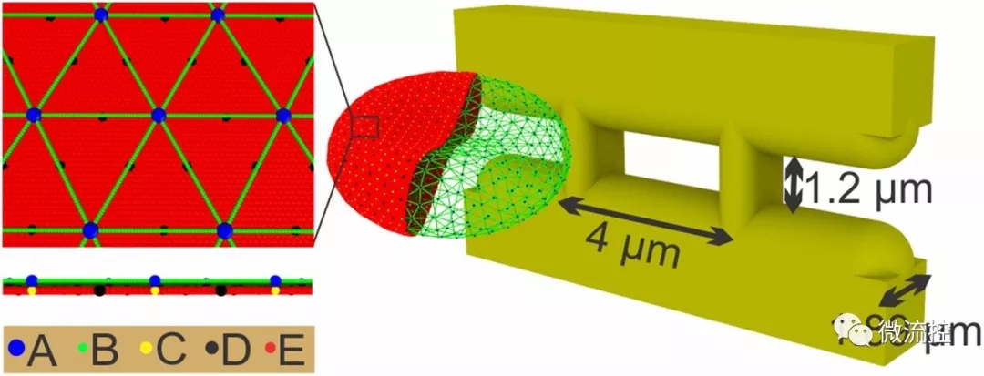 微流體系統(tǒng)幫助預(yù)測(cè)血管易堵塞程度 微流體系統(tǒng)幫助預(yù)測(cè)血管易堵塞程度