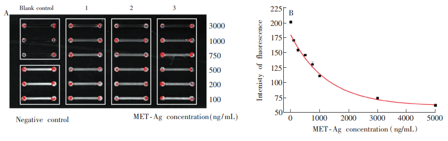 圖5(A)芯片對冰毒標準品的梯度檢測熒光圖;(B)對應圖(A)的“冰毒標準品濃度-灰度值冶曲線