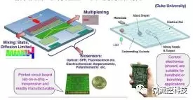 微流控芯片工作原理（圖片來源：Duke University）