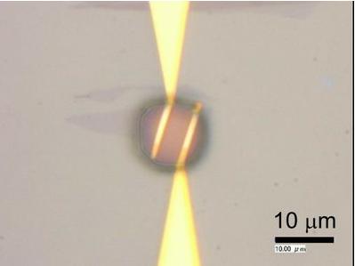 石墨烯和微流控技術(shù)用于細(xì)菌檢測(cè) 石墨烯和微流控技術(shù)用于細(xì)菌檢測(cè)
