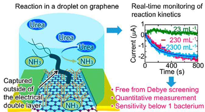 微流控芯片內(nèi)的石墨烯傳感器檢測(cè)微小樣品中的細(xì)菌 微流控芯片內(nèi)的石墨烯傳感器檢測(cè)微小樣品中的細(xì)菌