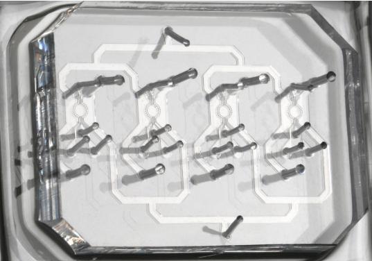 在微流控芯片上培養(yǎng)胚胎干細胞 在微流控芯片上培養(yǎng)胚胎干細胞