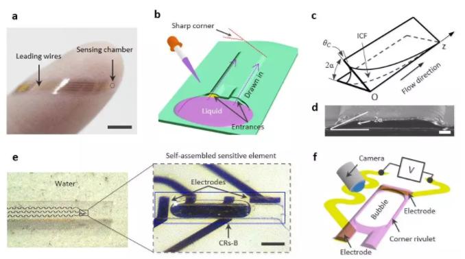 圖1 基于內(nèi)角流的微氣泡傳感器設(shè)計原理