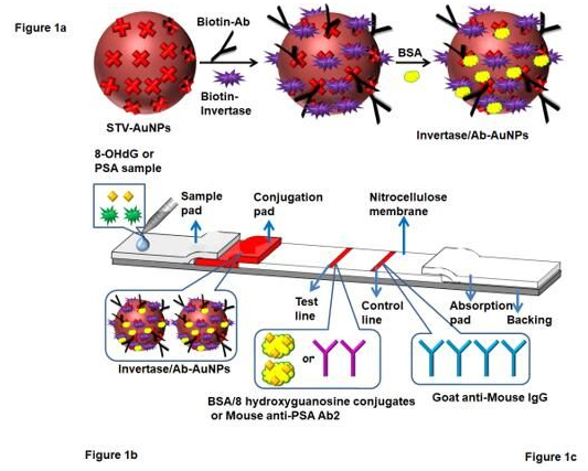 “微流控+智能手機(jī)血糖儀” 打造非血糖分子檢測(cè)平臺(tái)，量化評(píng)估DNA過氧化損傷
