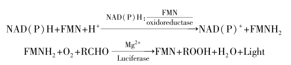 光,反應(yīng)方程式