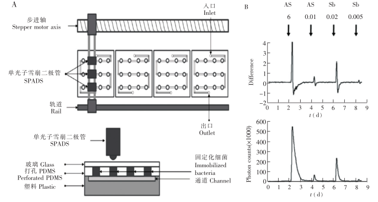 流通式生物傳感器示意圖及響應(yīng)曲線(xiàn)